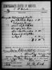 A Receipt from the Confederate government to Felix M.Cook.