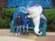 Field Trip 2013 - Houston City Aquarium