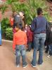 Houston Aquarium - Getting into groups.