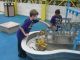 Robert Thompson and the interactive water exhibit. Robert Thompson and the interactive water exhibit.