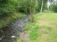 2014 Reunion Stotzheim - Small brook at the edge of Holger's back yard. 2014 Reunion Stotzheim - Small brook at the edge of Holger's back yard.