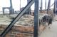Sachsenhausen Concentration Camp