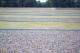Sachsenhausen Concentration Camp
