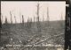 HARMS, Johannes - WWI